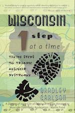 Wisconsin 1 Step at a Time