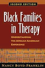 Black Families in Therapy, Second Edition