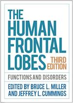 Human Frontal Lobes