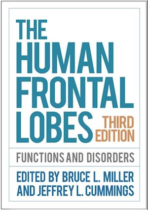 Human Frontal Lobes