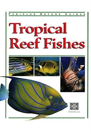 Tropical Reef Fishes