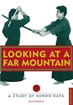 Looking at a Far Mountain - Revisited
