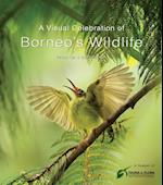Visual Celebration of Borneo's Wildlife