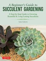 Beginner's Guide to Succulent Gardening