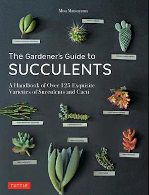 Gardener's Guide to Succulents