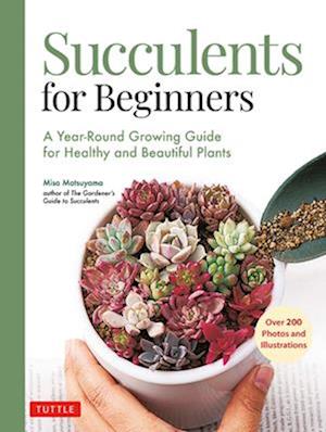 Succulents for Beginners