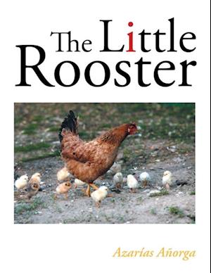 Little Rooster