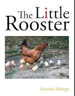 Little Rooster