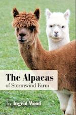 Alpacas of Stormwind Farm