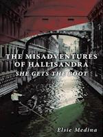 Misadventures of Hallisandra