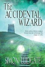 The Accidental Wizard