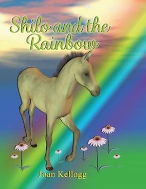 Shilo and the Rainbow