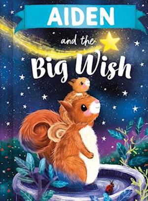 Aiden and the Big Wish