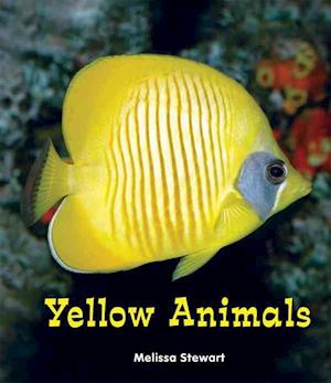 Yellow Animals