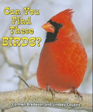 Can You Find These Birds?