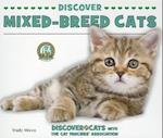 Discover Mixed-Breed Cats