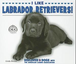 I Like Labrador Retrievers!