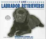 I Like Labrador Retrievers!