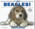 I Like Beagles!