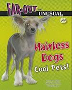 Hairless Dogs