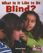 What Is It Like to Be Blind?