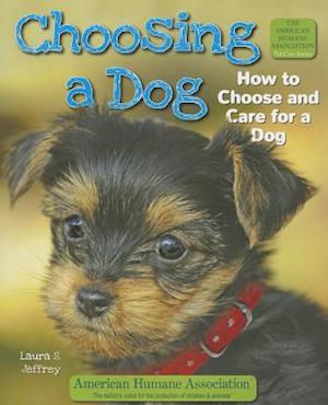 Choosing a Dog