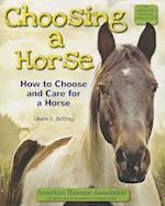 Choosing a Horse