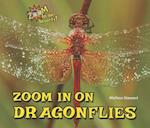 Zoom in on Dragonflies