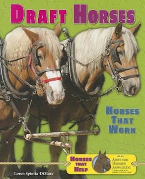 Draft Horses