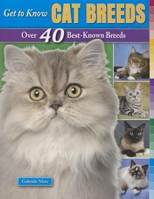 Get to Know Cat Breeds