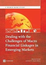 Dealing with the Challenges of Macro Financial Linkages in