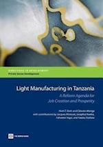 Dinh, H:  Light Manufacturing in Tanzania