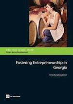 Fostering Entrepreneurship in Georgia