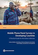 Dabalen, A:  Mobile Phone Panel Surveys in Developing Countr
