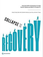 Collapse and Recovery