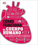 Cómo Funciona El Cuerpo Humano