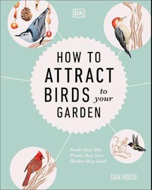 How to Attract Birds to Your Garden