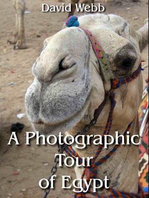 Photographic Tour of Egypt