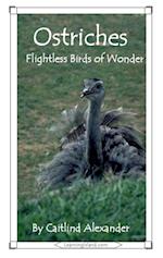 Ostriches: Flightless Birds of Wonder