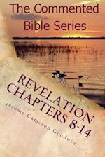 Revelation Chapters 8-14