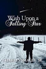 Wish Upon a Falling Star