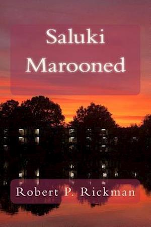 Saluki Marooned