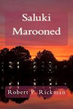 Saluki Marooned