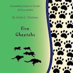 Five Cheetahs