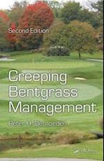 Creeping Bentgrass Management