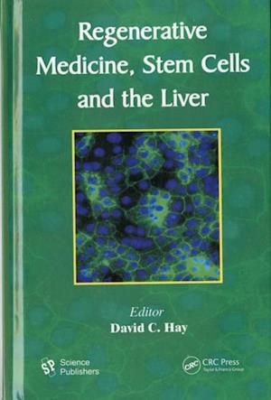 Regenerative Medicine, Stem Cells and the Liver