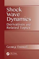Shock Wave Dynamics