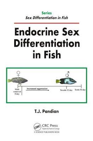 Endocrine Sex Differentiation in Fish