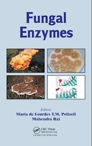 Fungal Enzymes
