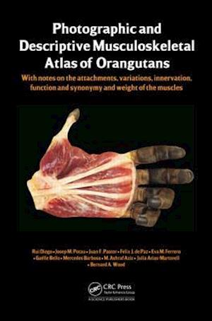 Photographic and Descriptive Musculoskeletal Atlas of Orangutans